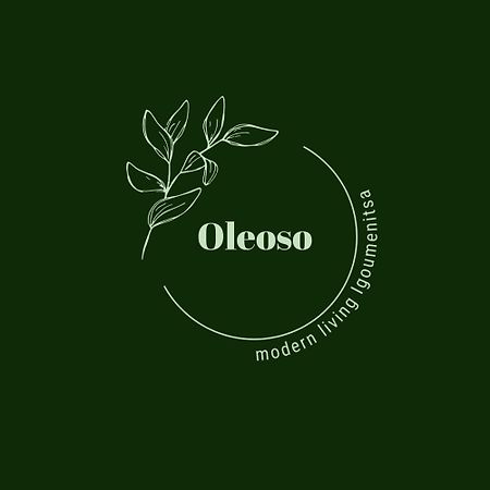 Oleoso Apartment Игуменица Екстериор снимка
